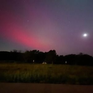 Meet your Posher, Dorothy